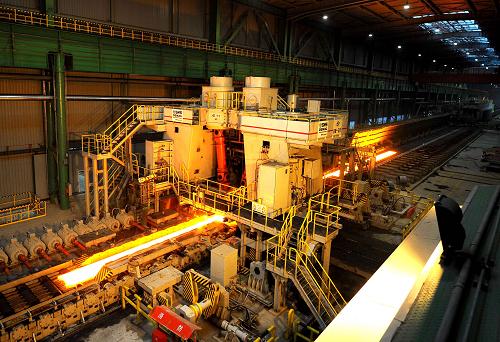 高档仔猪配合饲料H5551